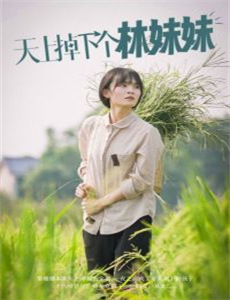 银河总动员第1季