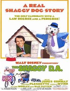 轻松小熊:主题乐园大冒险